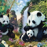 Puzzle pandas près de la cascade 500 pièces SCHMIDT