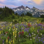 Puzzle 2000 éléments - Monts Tatoosh