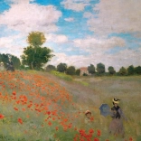 Puzzle EUROGRAPHICS Coquelicots 1000 pièces