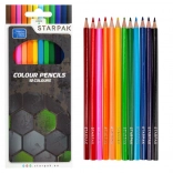 Crayons de couleur 12 pcs Footballeur