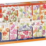 Puzzle Tulipes hollandaises 1000 pièces JUMBO