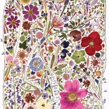 Puzzle Fleurs Pressées Printemps 1000 Pièces de Cobble Hill