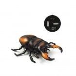Scarabée rhinocéros RC avec commande infrarouge