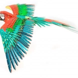 metal earth puzzle 3D perroquet ICONX – modèle métallique à assembler