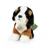 Chien de montagne bernois en peluche