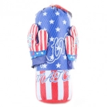 Ensemble de boxe pour enfants avec sac et gants