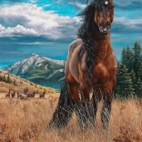 Puzzle Liberté 1000 pièces de Cobble Hill