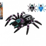 Araignée rampante pour vitre en plastique 8 cm