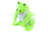 Grenouille à remonter sauteuse – jouet en plastique pour enfants