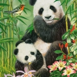 Puzzle Castorland Panda Brunch 300 pièces