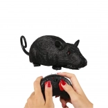 Rat RC télécommandée avec yeux LED