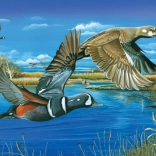 Puzzle Roman Harlequin 1000 pièces de Cobble Hill