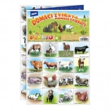 Pexeso Animaux Domestiques