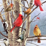 Puzzle Oiseaux en hiver 1000 pièces