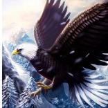 Peinture diamant Aigle 30x40 cm