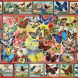 Puzzle Beaucoup de Papillons 1000 Pièces