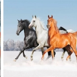 Peinture diamant Trio de chevaux 30x40 cm