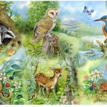 Puzzle Étude de la nature 250 pièces