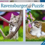 Puzzle Chatons à la campagne 2×500 pièces RAVENSBURGER