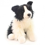 Border collie en peluche 35 cm