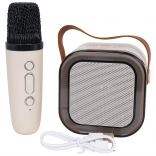 Ensemble karaoké avec microphone sans fil et haut-parleur Bluetooth portable avec RGB