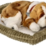 Chiot bouledogue qui respire