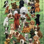 COBBLE HILL puzzle familial amour de chiots – 350 pièces