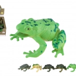 grenouille en plastique 7 × 7 cm, assortiment d’espèces – set en boîte
