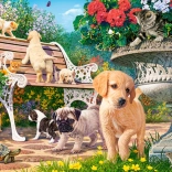 Puzzle 100 pièces Hide and Seek