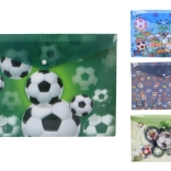 Chemise à bouton-pression 35,8 × 26 cm – ballon