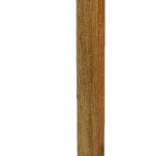 Crayon en bois avec tête de cochon