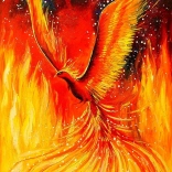 puzzle Phénix 1000 pièces