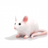 Figurine de souris Mojo