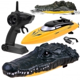 Crocodile