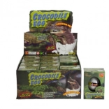 Œuf avec crocodile grandissant dans l’eau