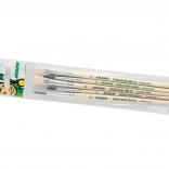 Set de pinceaux de peinture