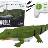 Crocodile aquatique télécommandé flottant pour l’eau