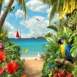 Puzzle ENJOY Découverte – 1000 pièces