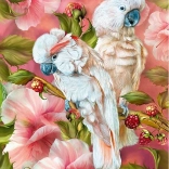 CHERRY PAZZI puzzle cacatoès – esprits des tropiques, 1000 pièces