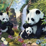 Puzzle Pandas cachées 1000 pièces – Secret Collection