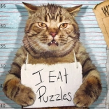 Puzzle Eurographics Chat Criminel XL 500 pièces