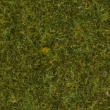 Herbe statique Noch prairie sauvage, 9 mm