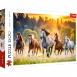 Puzzle 1500 pièces – Chevaux sauvages TREFL