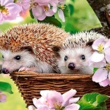 Puzzle printemps 120 pièces