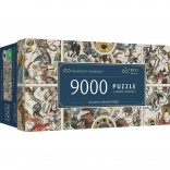Puzzle 9000 pcs Ancient Celestial Maps