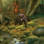 Puzzle Mère Nature 1000 pièces de Cobble Hill