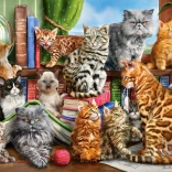 Puzzle 2000 pièces - Maison des Chats