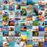 Puzzle RAVENSBURGER 99 moments au bord de la mer 1000 pièces
