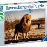 Puzzle Ravensburger Lion – roi des animaux 1500 pièces