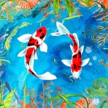 Puzzle Juste garde la nage 1000 pièces